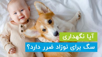 آیا نگهداری سگ برای نوزاد ضرر دارد؟